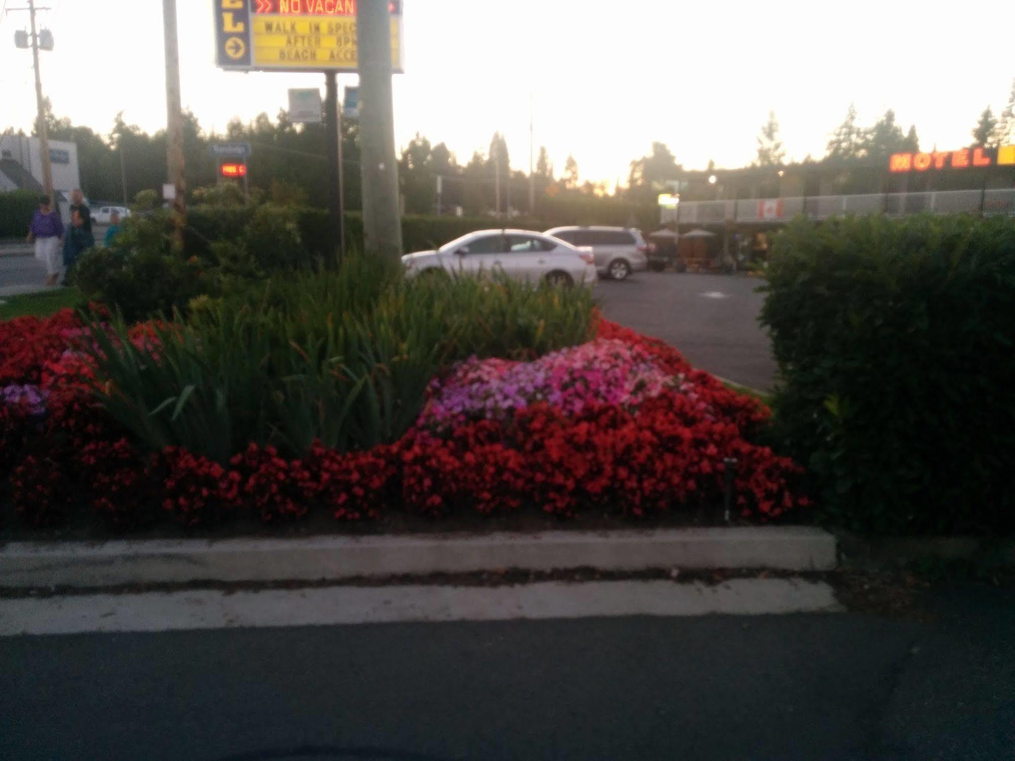 The Tide'S Inn Parksville Exteriör bild